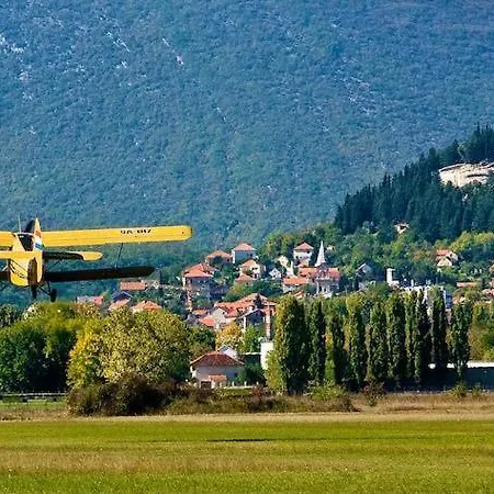 Lavanda - * Sinj